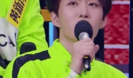 黑子爆料刘宇宁的视频,揭秘背后真相